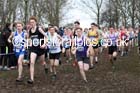 Mens under-17s Inter Counties Cross Country, Prestwold Hall, Loughborough. Photo: David T. Hewitson/Sports for All Pics